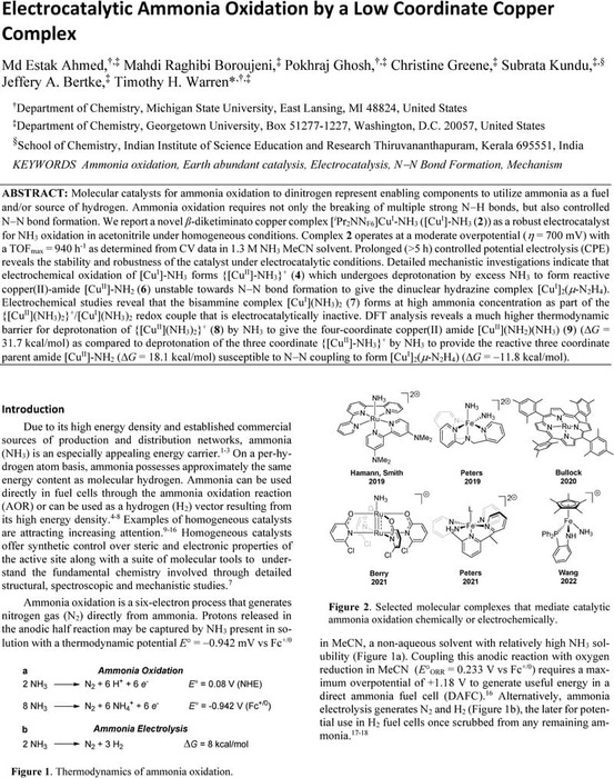 Thumbnail image of MS-Cu-ammonia-Warren.pdf