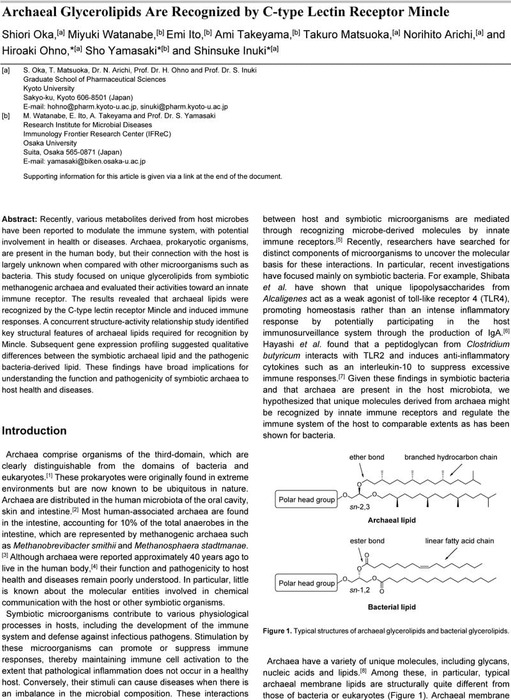 Thumbnail image of 220802_MS_archaea lipid.pdf