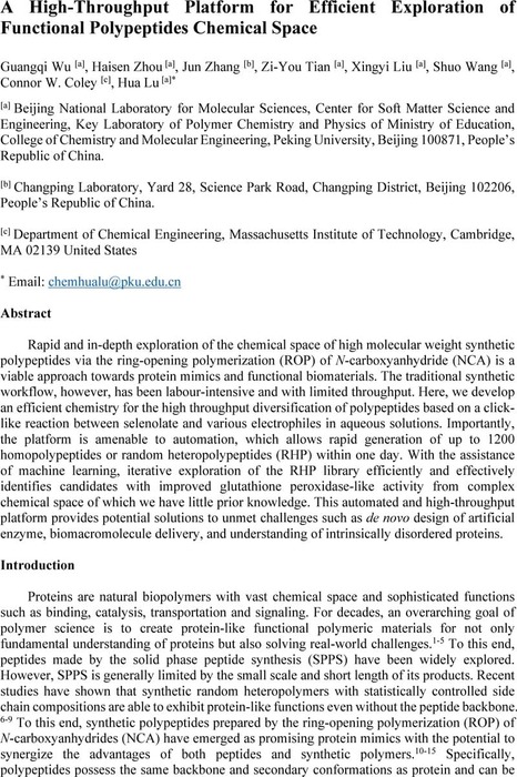 Thumbnail image of Draft SePh Nsynthesis.pdf