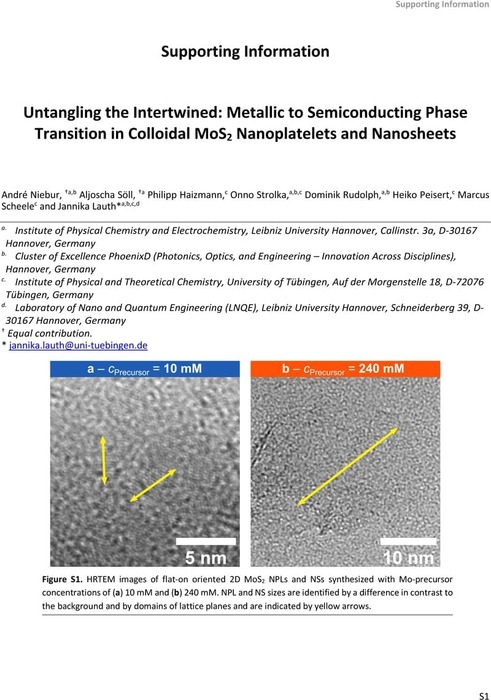 Thumbnail image of SI-ColMoS2NPLsNSsNieburLauth.pdf