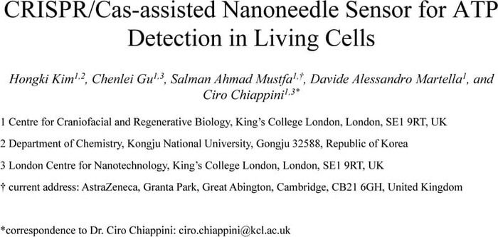 CRISPR Cas assisted Nanoneedle Sensor for ATP Detection in Living