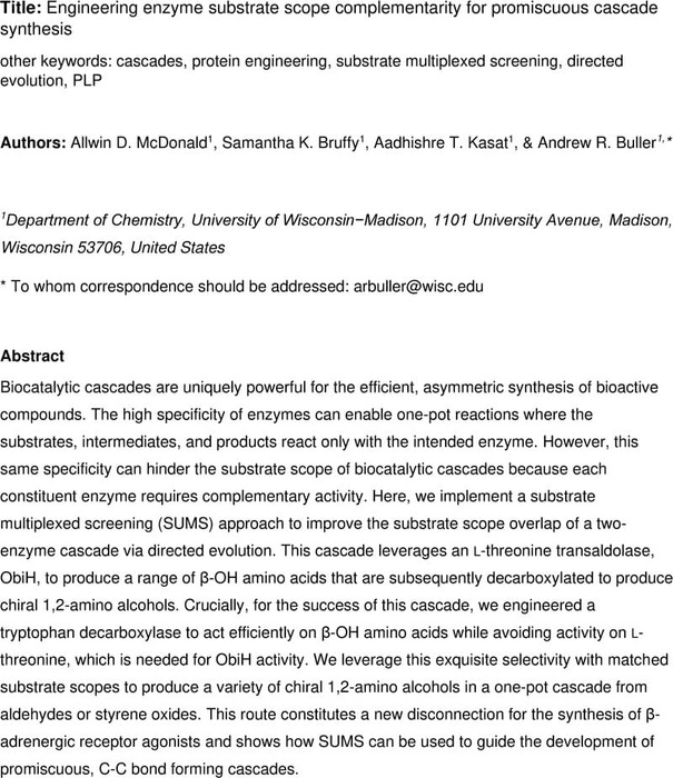 Thumbnail image of B-OH amino alcohol Draft IX.pdf