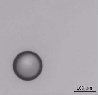 Thumbnail image of Video S2. Bromodecane in 3 wt% Triton x-100. Dish. R=71 µm drop.mp4