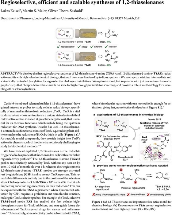 Thumbnail image of Synthesis of 1,2-thiaselenanes Main v10.1 Rxiv OrgLett format.pdf