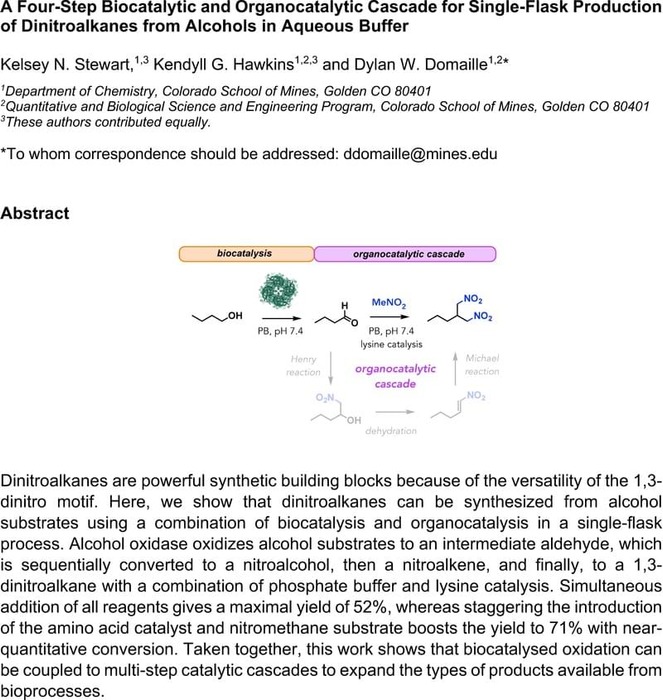 Thumbnail image of Dinitroalkane_main text_ChemRxiv.pdf
