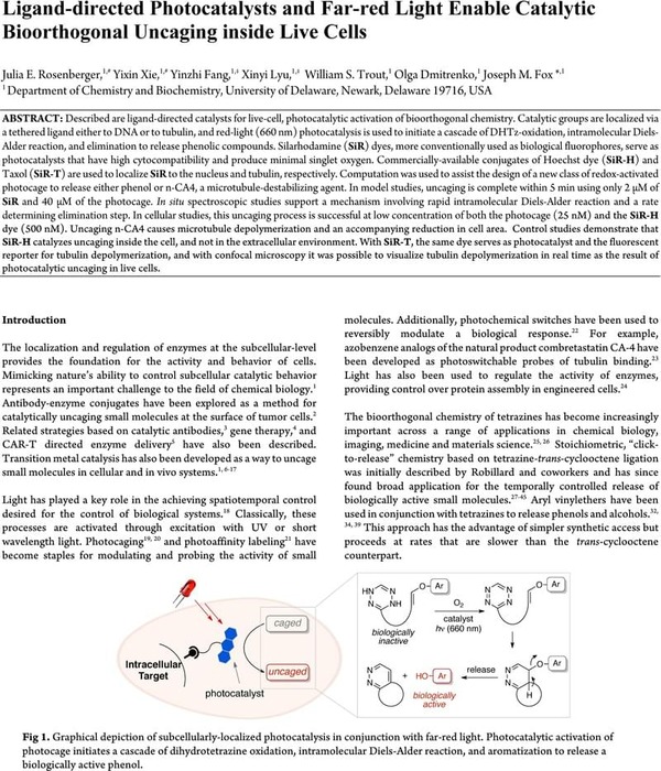 Ligand-directed Photocatalysts And Far-red Light Enable Catalytic ...