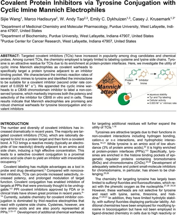 Thumbnail image of Tyrosine Imine Covalent Inhibitor_ChemRxiv.pdf