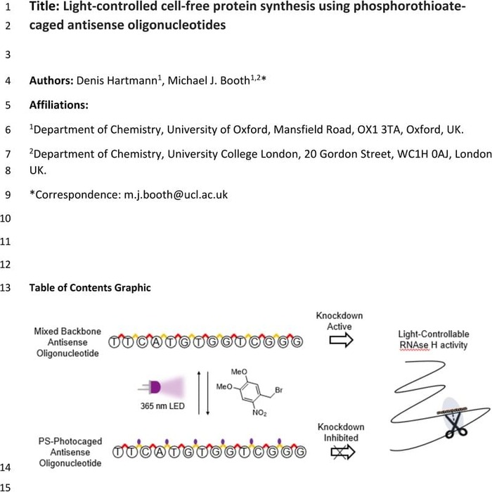 Thumbnail image of Photocaged PS-Oligonucleotides_Manuscript.pdf