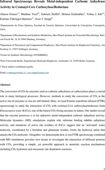 Infrared Spectroscopy Reveals Metal Independent Carbonic Anhydrase ...