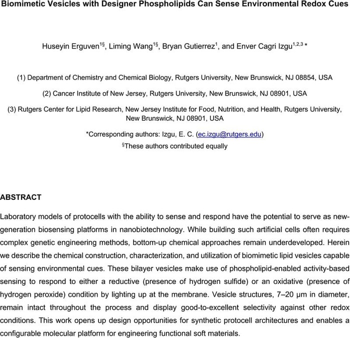 Thumbnail image of Biomimetic Vesicles Sense Environmental Redox Cues_Manuscript_ChemRxiv_01-06-2023.pdf