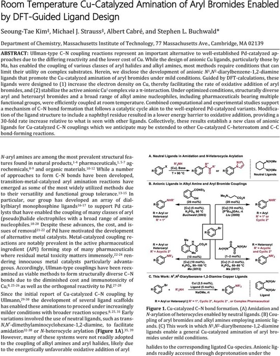 Hydroxylation of Aryl Bromides with N2O - ChemistryViews