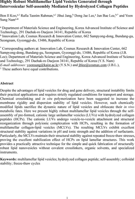 Highly Robust Multilamellar Lipid Vesicles Generated through