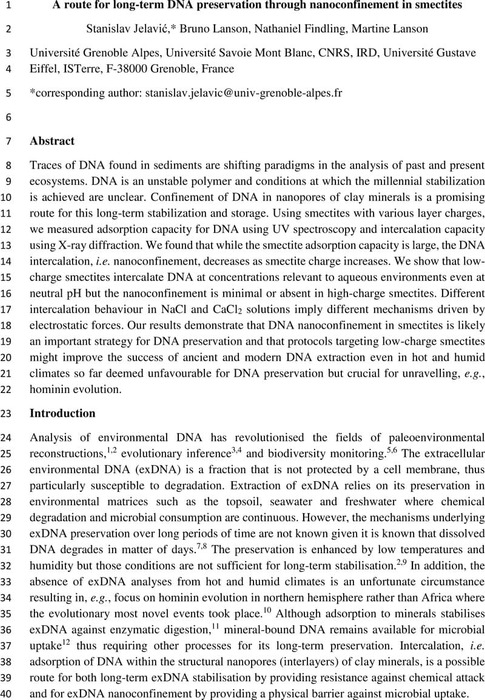 A route for long-term DNA preservation through nanoconfinement in ...