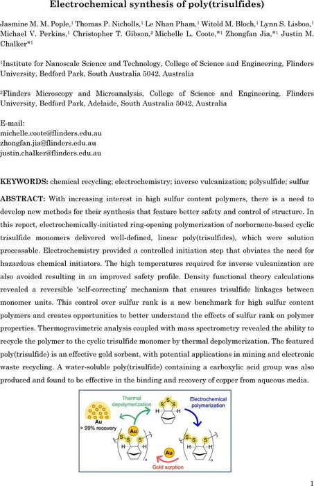 Electrochemical synthesis of poly(trisulfides) | Polymer Science ...