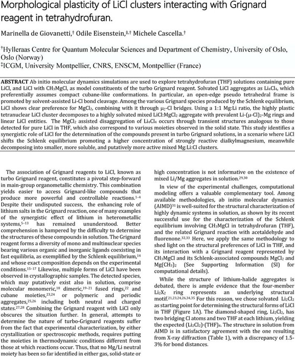 Morphological plasticity of LiCl clusters interacting with