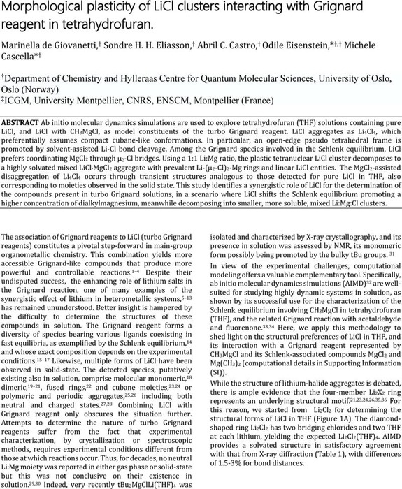 Morphological plasticity of LiCl clusters interacting with