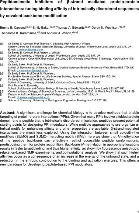 Peptidomimetic Inhibitors Of Strand Mediated Protein Protein