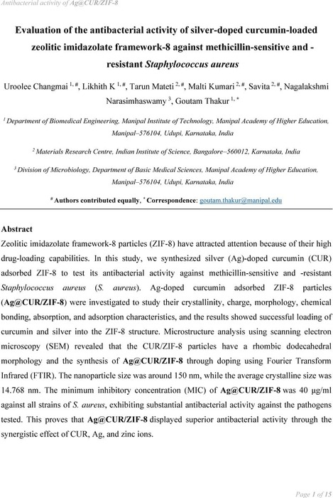 Evaluation Of The Antibacterial Activity Of Silver-doped Curcumin ...