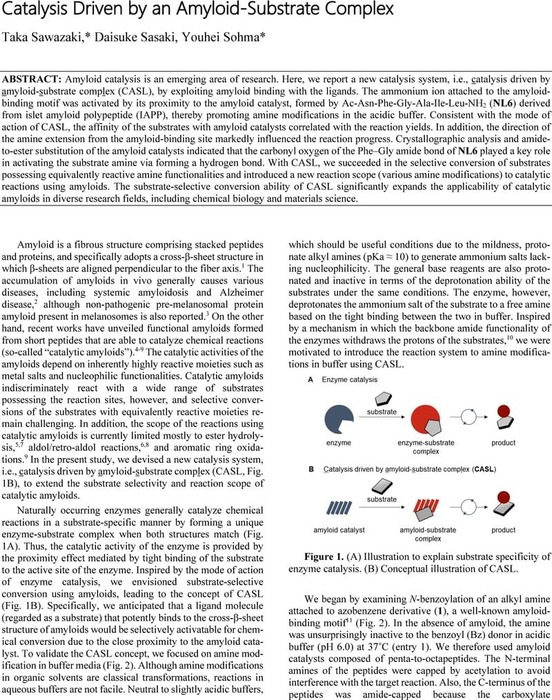 Catalysis pdf clearance