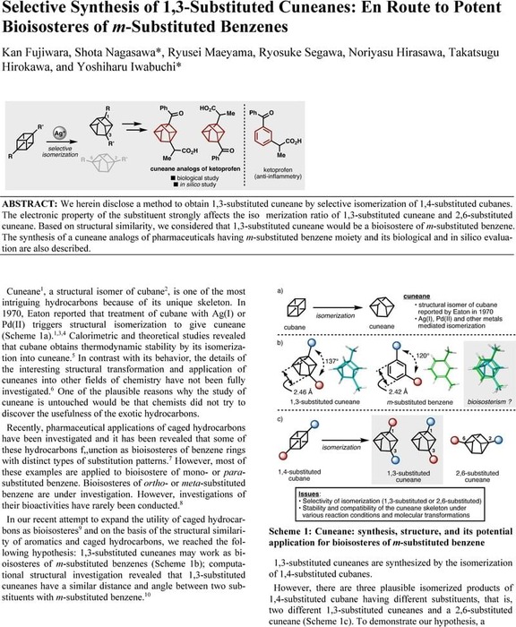 Selective Synthesis Of 13 Substituted Cuneanes En Route To Potent Bioisosteres Of M 