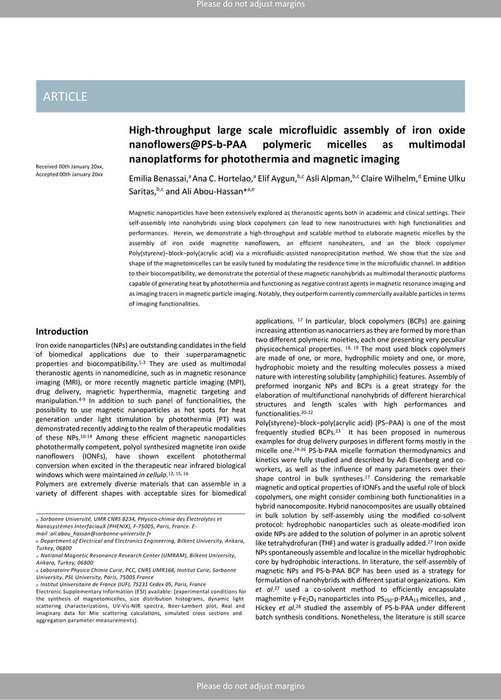 High-throughput large scale microfluidic assembly of iron oxide ...