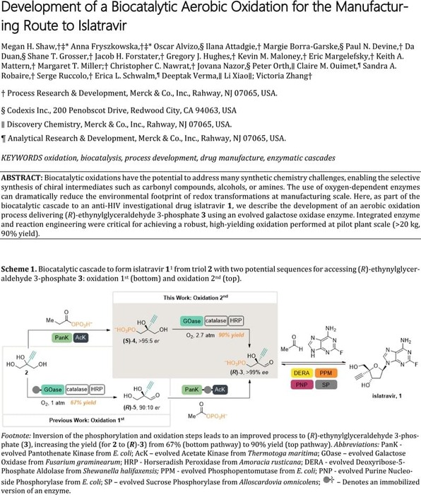 Development Of A Biocatalytic Aerobic Oxidation For The.