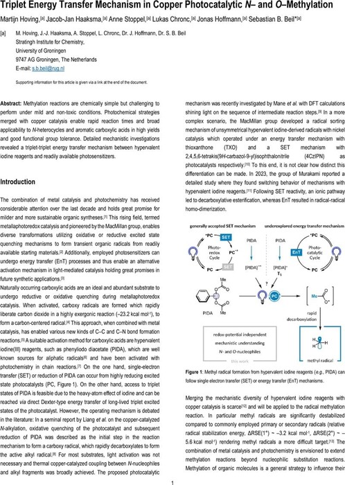 Triplet Energy Transfer Mechanism in Copper Photocatalytic N– and O ...