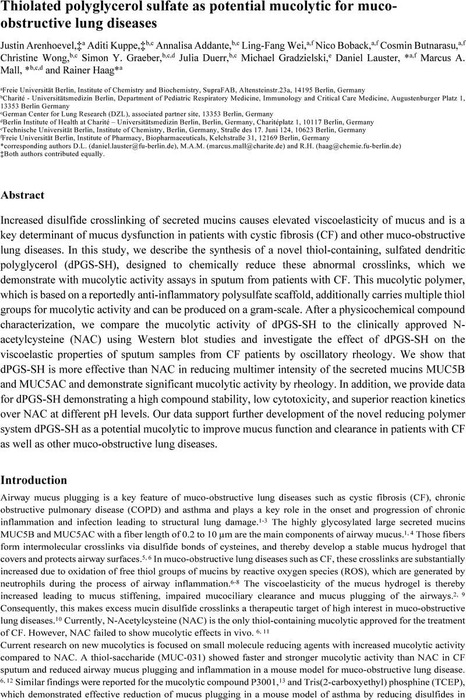 Thiolated polyglycerol sulfate as potential mucolytic for muco ...