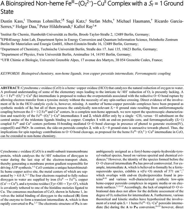 A Bioinspired Non-heme FeIII−(O22−)−CuII Complex with a St = 1 Ground ...