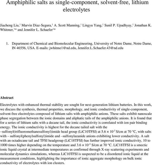 Amphiphilic salts as single-component, solvent-free, lithium ...