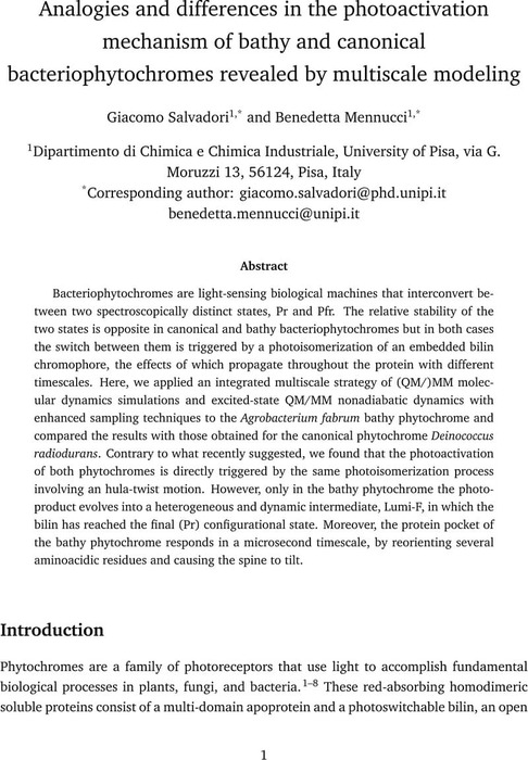 Analogies and differences in the photoactivation mechanism of bathy and ...