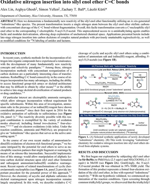 Oxidative nitrogen insertion into silyl enol ether C=C bonds | Organic ...