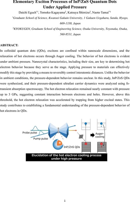 Elementary Exciton Processes of InP/ZnS Quantum Dots Under Applied ...