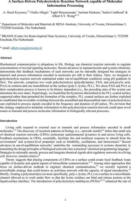 A Surface-Driven Polyelectrolyte Reaction Network capable of Signal ...